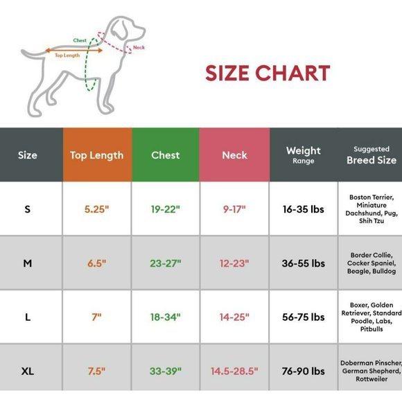 Top Paw Pink Groovy Dot Collar for Dogs - Size Small Neck 9-17" Adjustable - Picture 6 of 6